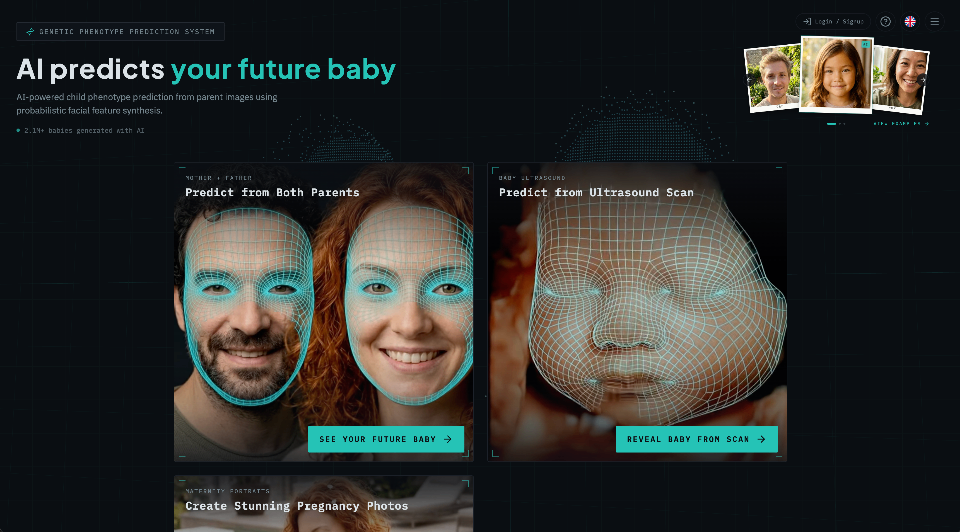 BabyMorph website